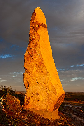 Thomasina, The Broken Hill Sculpture Symposium