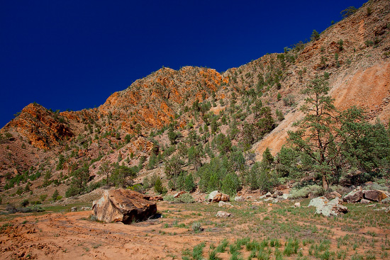 Brachina Gorge