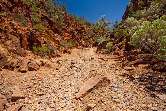 Sacred Canyon, Flinders Ranges