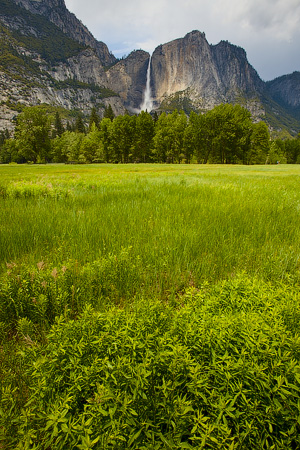 Yosemite National Park, CA, USA