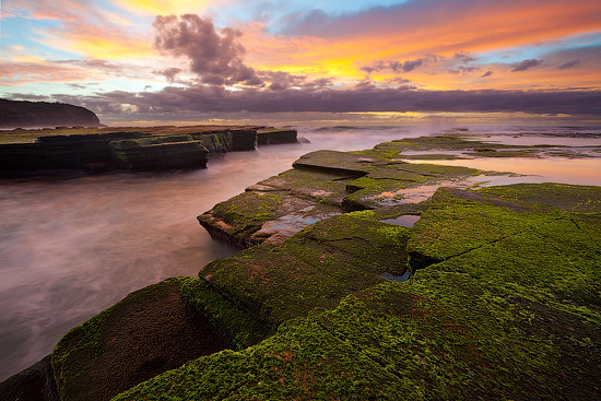 Turimetta Beach, NSW, Australia