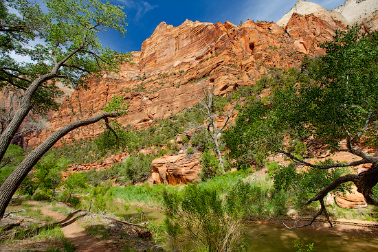 Angel's Landing, Zion National Park