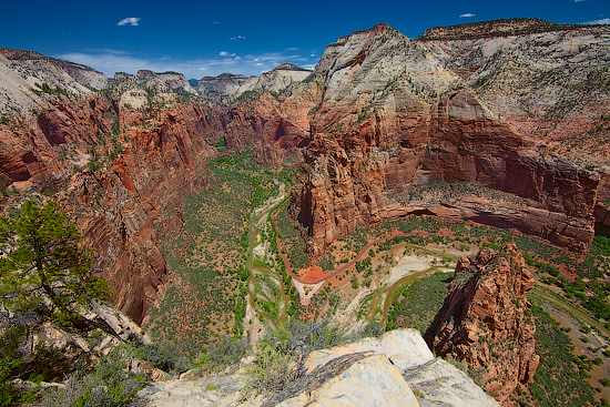 Angel's Landing, Zion National Park