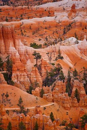 Bryce Canyon National Park, Utah, USA