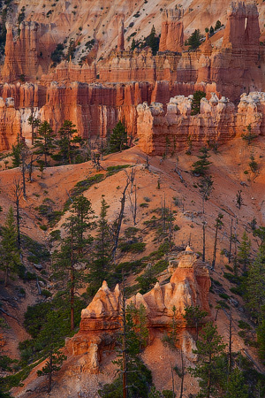 Bryce Canyon National Park, Utah, USA