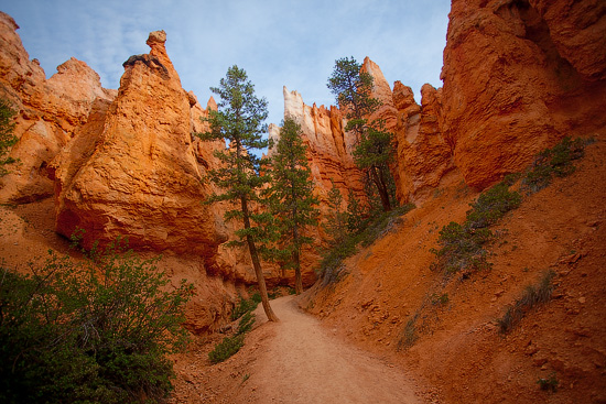 Bryce Canyon National Park, Utah, USA