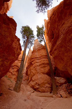 Bryce Canyon National Park, Utah, USA