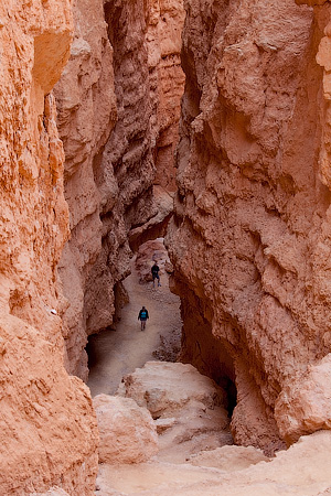 Bryce Canyon National Park, Utah, USA