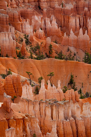 Bryce Canyon National Park, Utah, USA