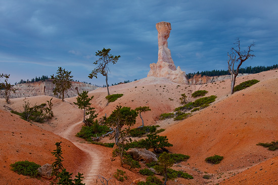 Bryce Canyon National Park, Utah, USA