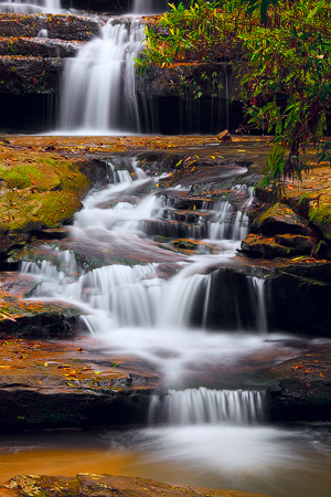 Terrace Falls, Blue Mountains National Park, NSW, Australia