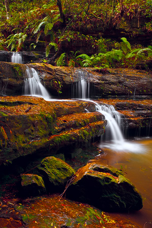 Terrace Falls, Blue Mountains National Park, NSW, Australia