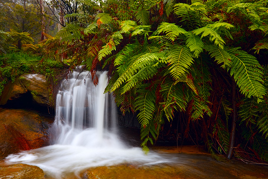 Leura Waterfalls, Blue Mountains National Park, NSW, Australia