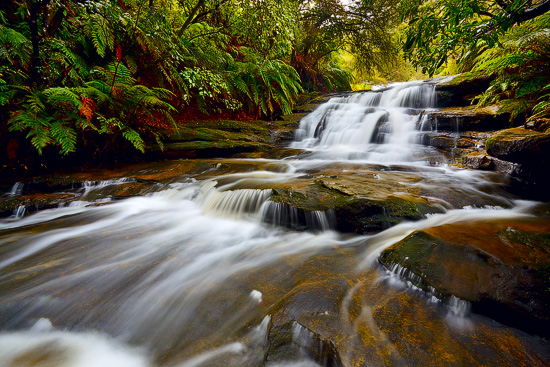 Leura Cascades, Blue Mountains National Park, NSW, Australia