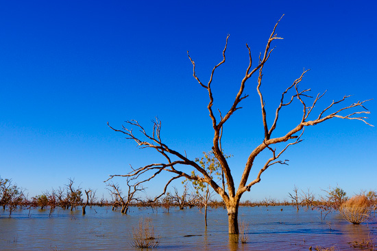 The Lake Pamamaroo, NSW, Australia