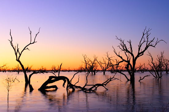 The Lake Pamamaroo,NSW, Australia