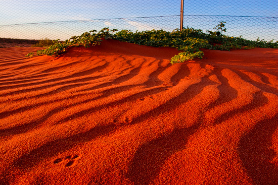 Cameron Corner, QLD, NSW, SA, Australia