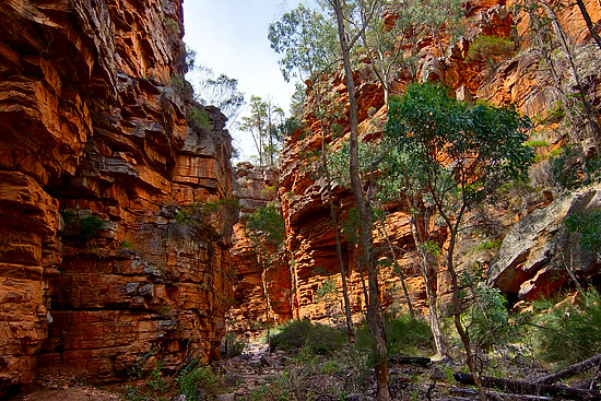 Alligator Gorge