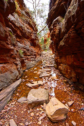 Alligator Gorge