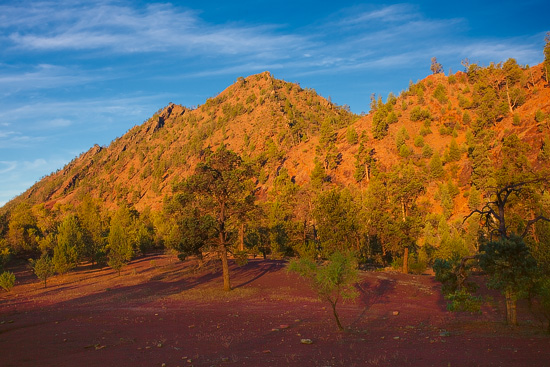 Brachina Gorge