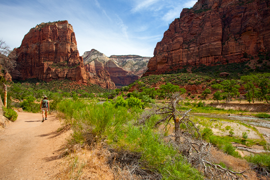 Zion National Park, Utah, USA