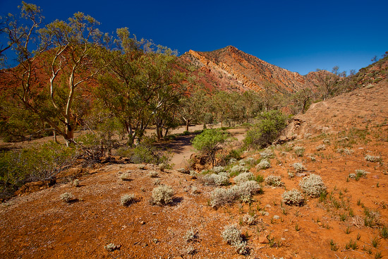 Brachina Gorge, Flinders Ranges